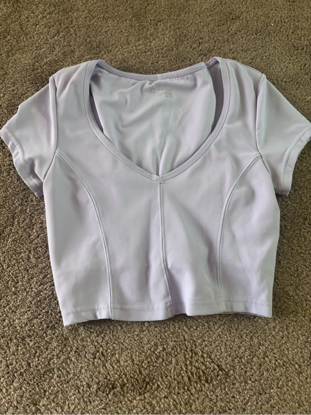 aerie Lavender V-Neck Short Sleeve Cropped Top
